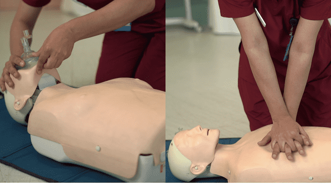 AHA Certified Courses (American Heart Association)